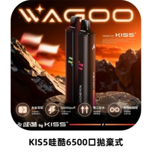 KIS5WAGOO哇酷6500口拋棄式 | 自由混搭雙口味 | 雙芯組合